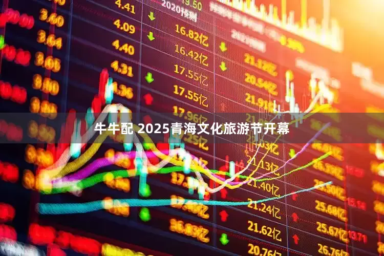 牛牛配 2025青海文化旅游节开幕