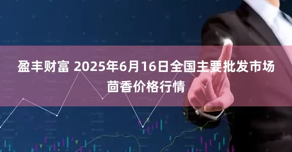 盈丰财富 2025年6月16日全国主要批发市场茴香价格行情