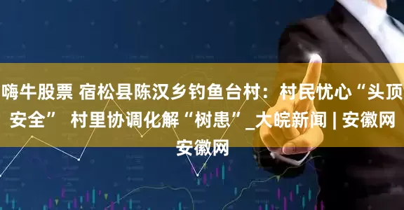 嗨牛股票 宿松县陈汉乡钓鱼台村：村民忧心“头顶安全”  村里协调化解“树患”_大皖新闻 | 安徽网