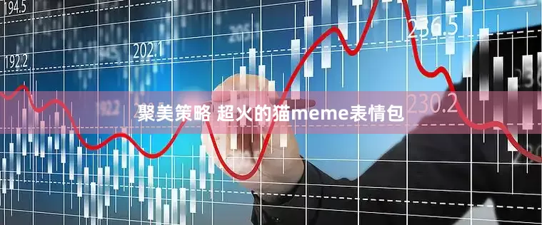 聚美策略 超火的猫meme表情包